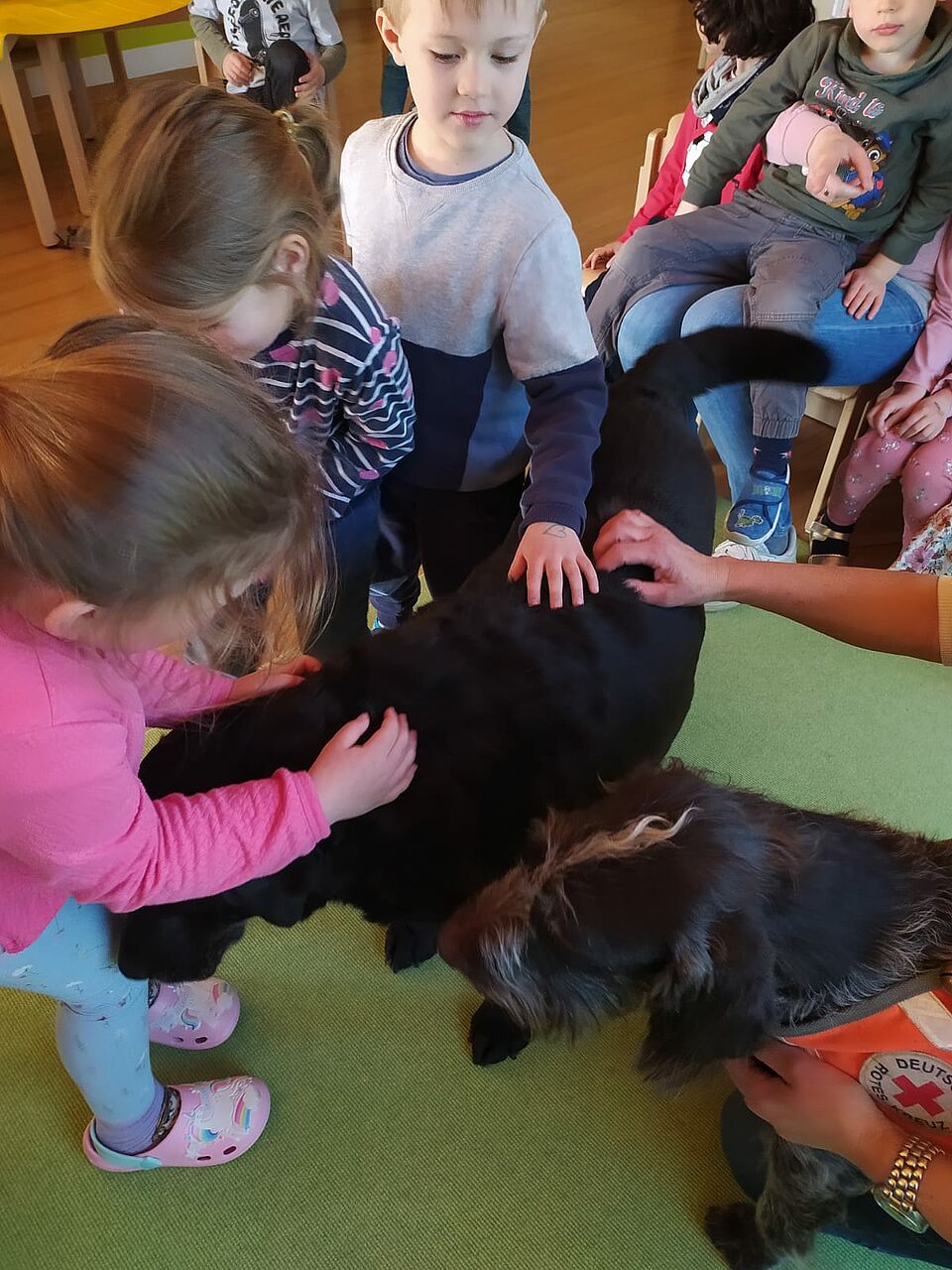 Das bitte ab sofort täglich