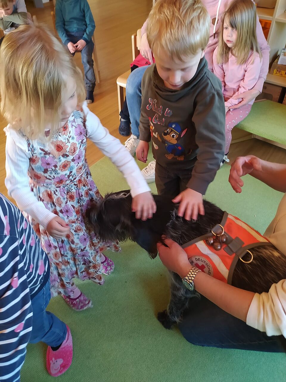 Bart genießt die Streicheleinheiten