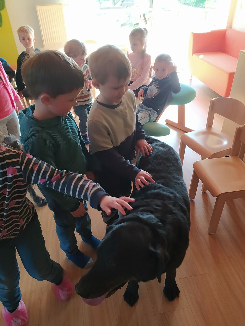Max fühlt sich wohl bei den vielen grabbelnden Fingern